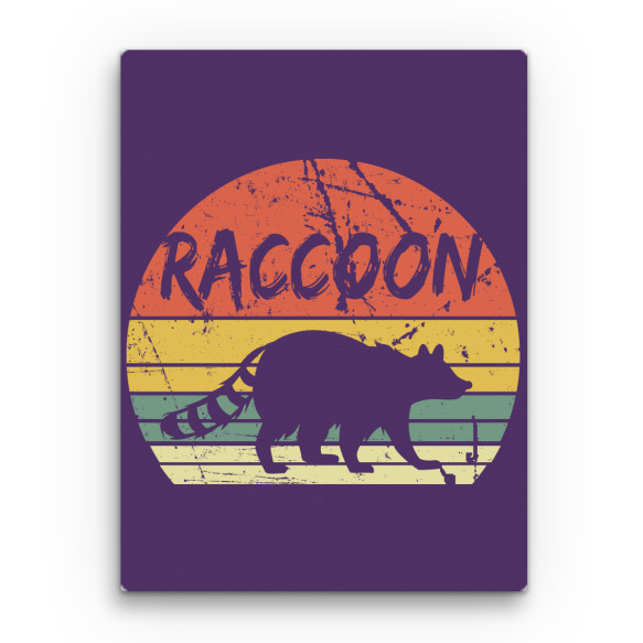 Raccoon Color Mosómedve Vászonkép - Mosómedve