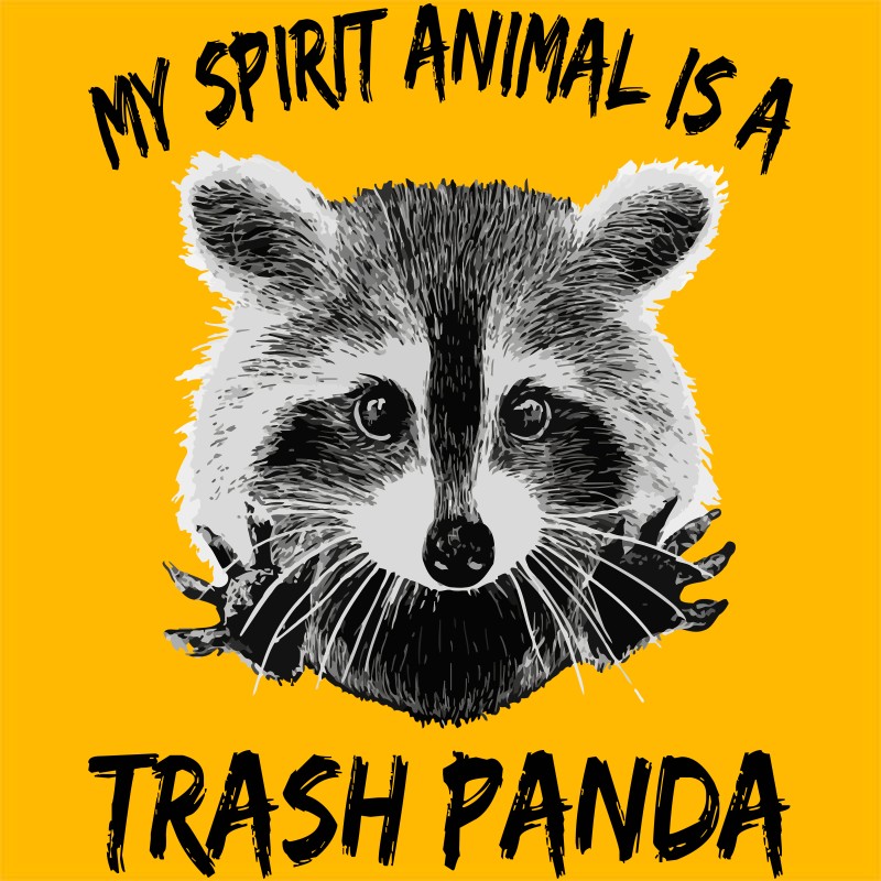 Spirit Animal - Trash Panda