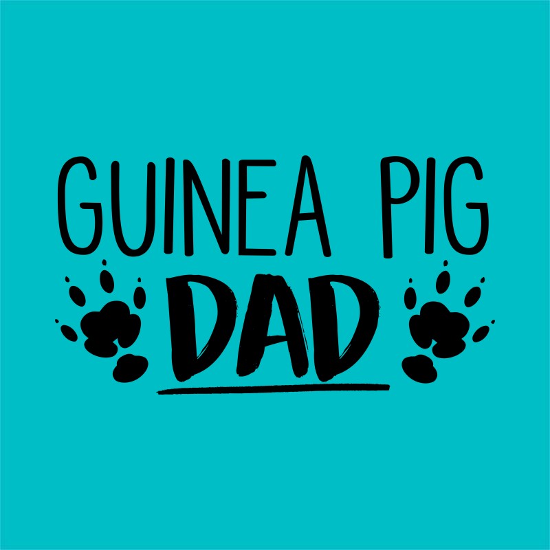 Guinea pig Dad