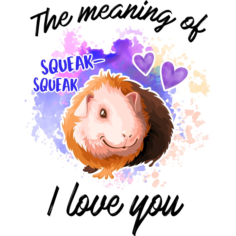Meaning of I love you - Guinea pig