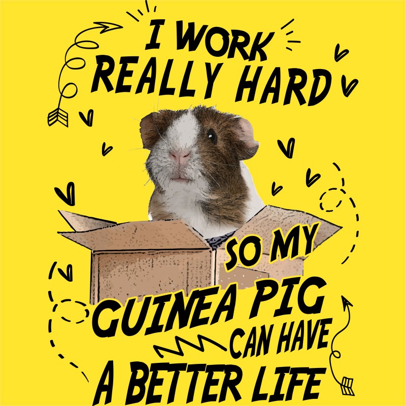 I work hard - Guinea Pig