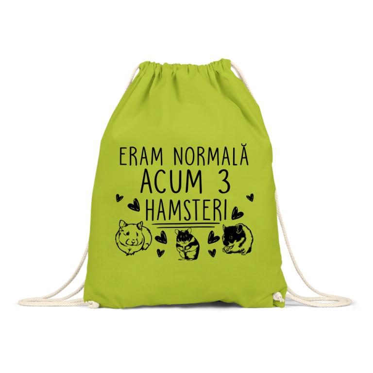 Eram normal - Hamster - Tornsacks