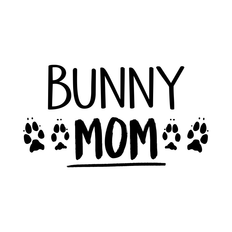 Bunny mommy