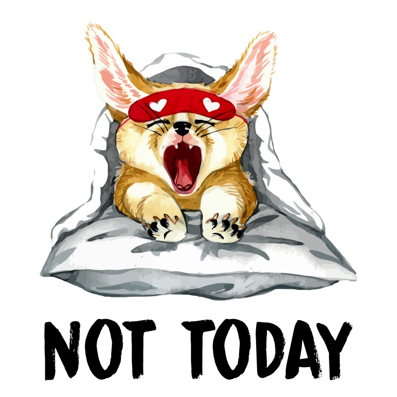 Not to Day - Fox