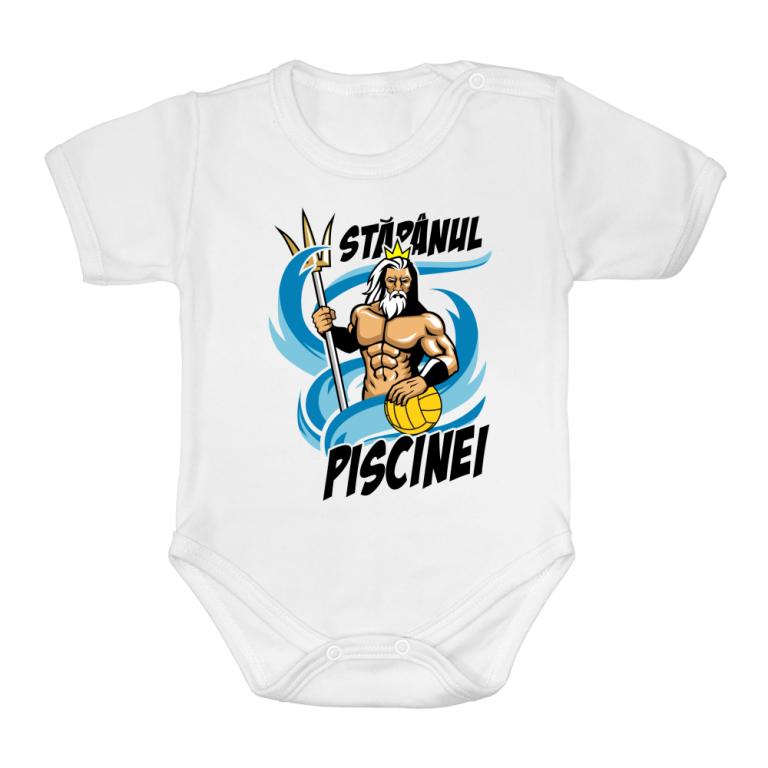 Stăpânul piscinei