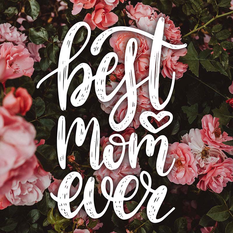 Best mom rose