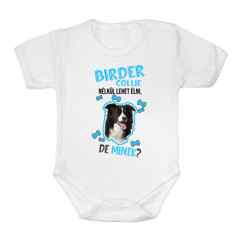 Lehet Élni de Mindek - Border Collie - Baba Body