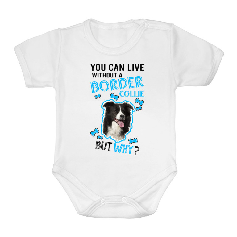 You can live but why - Border Collie