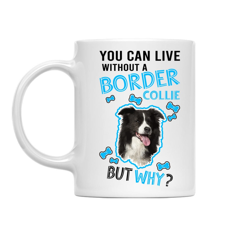 You can live but why - Border Collie
