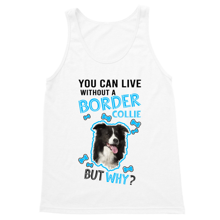 You can live but why - Border Collie