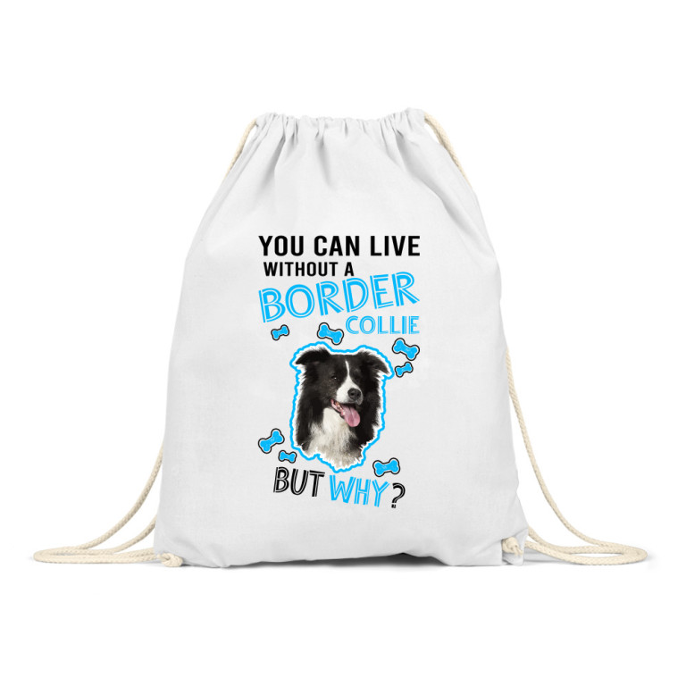 You can live but why - Border Collie