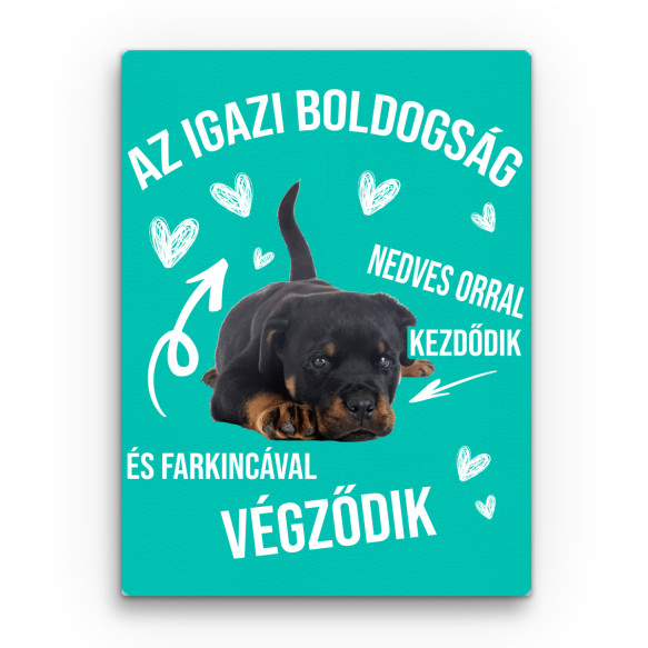 Az Igazi Boldogság - Rottweiler Rottweiler Vászonkép - Rottweiler