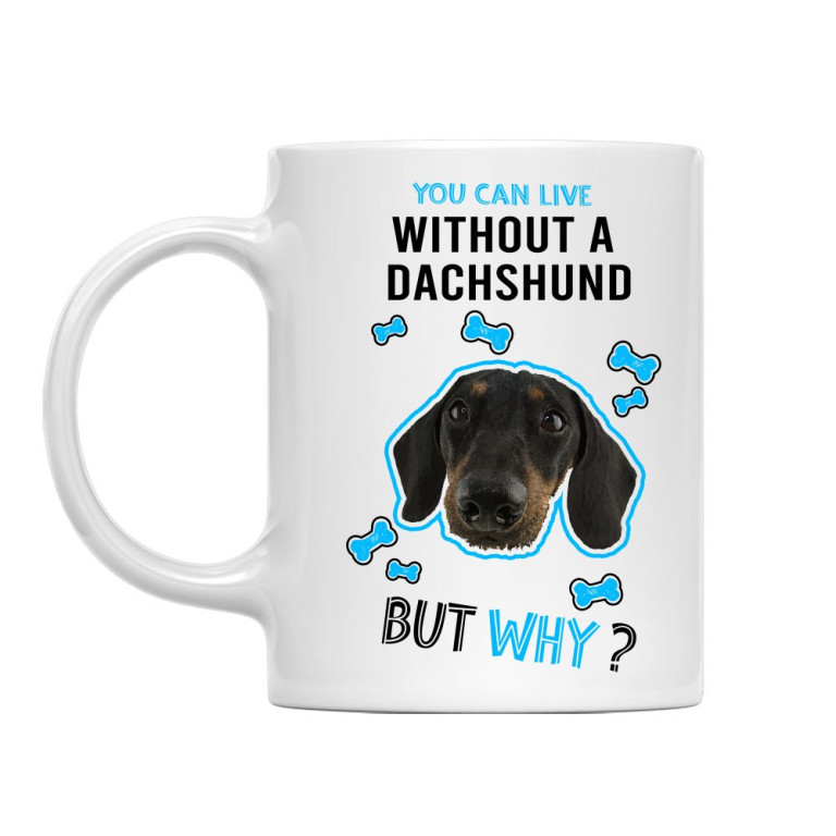 You can live but why  - Dachshund