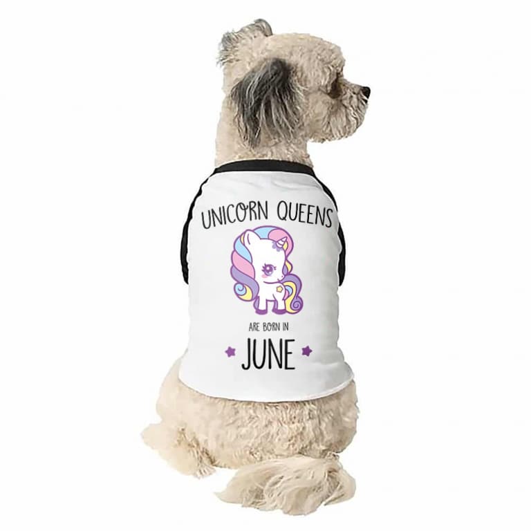 Unicorn queens are born in June