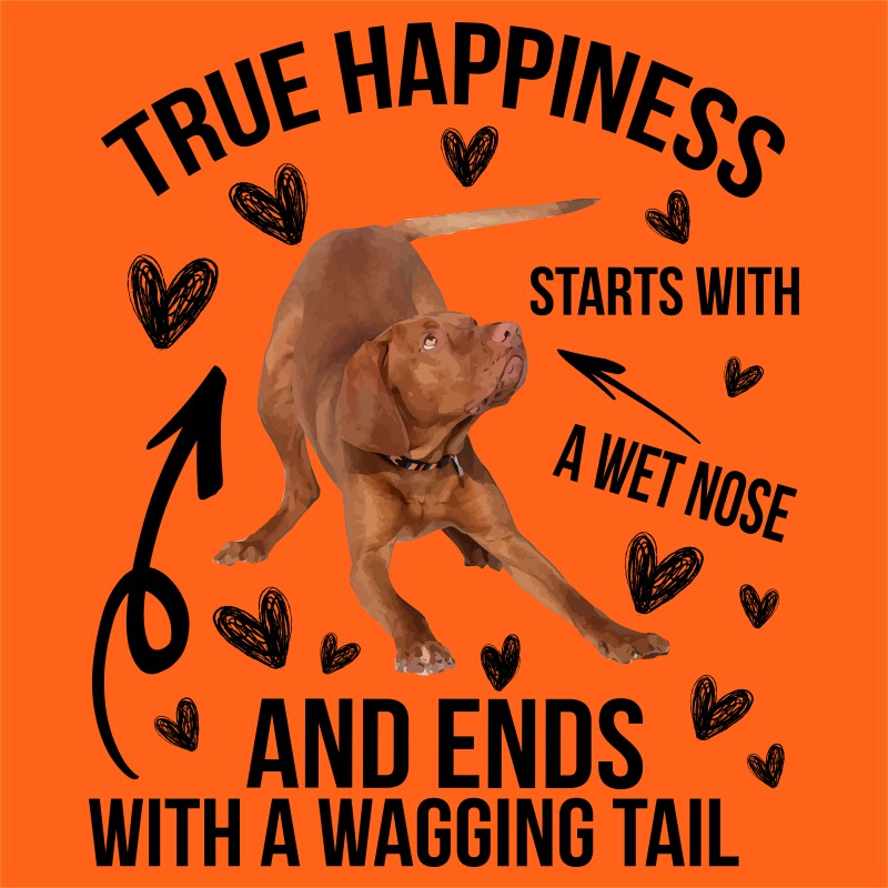 True Happiness - Vizsla