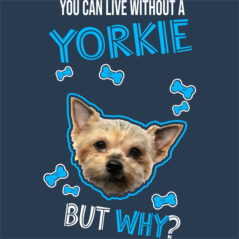 You can live but why - Yorkie