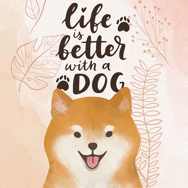 Life is better with a dog