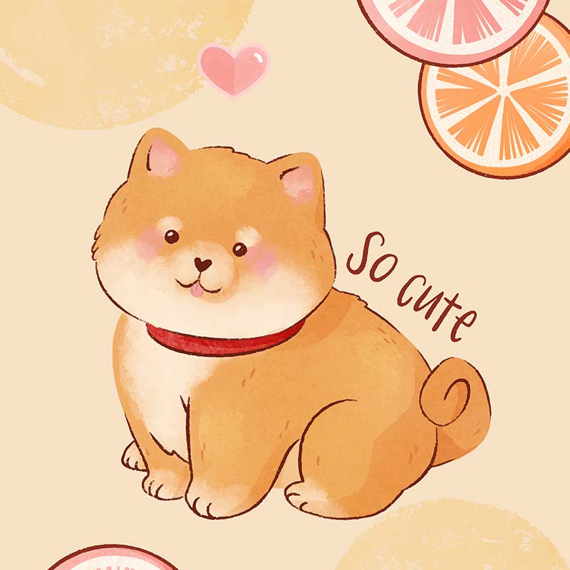 So cute puppy