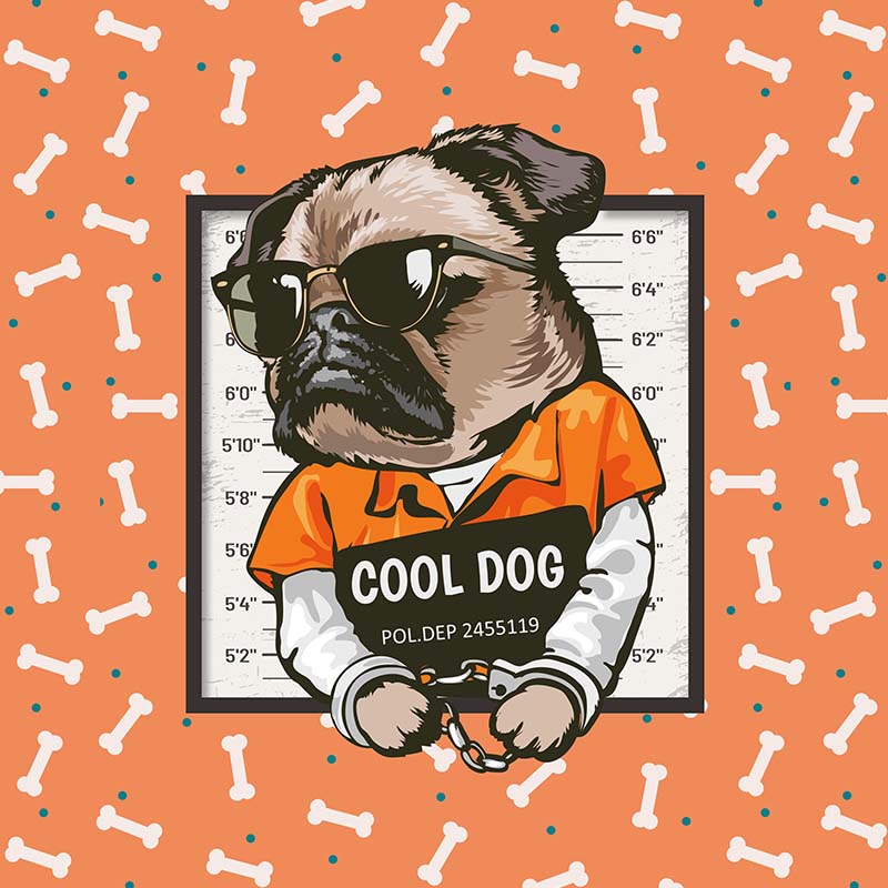 Cool dog