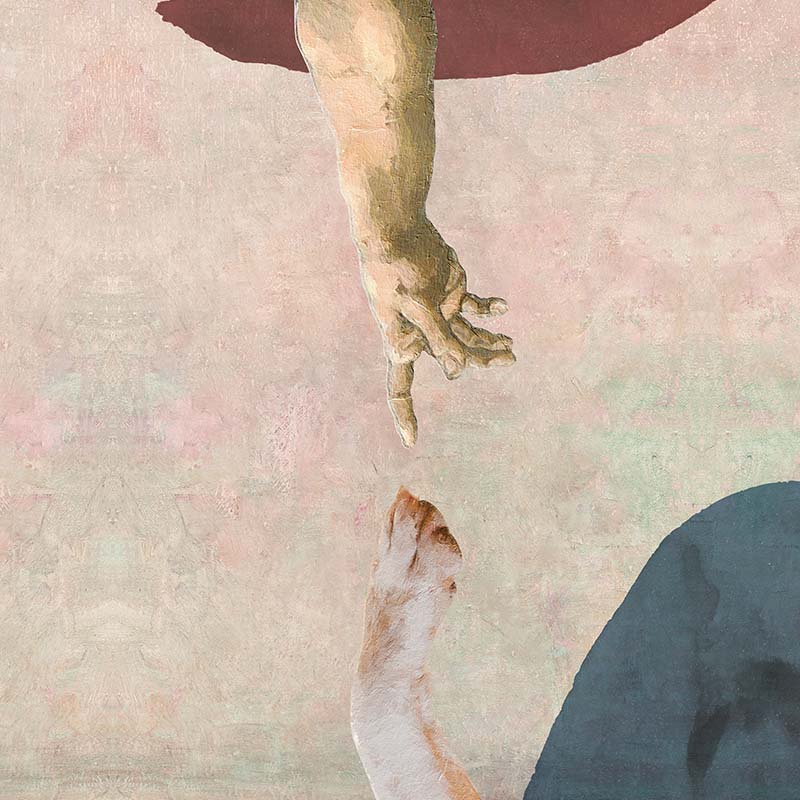 The creation of the dog
