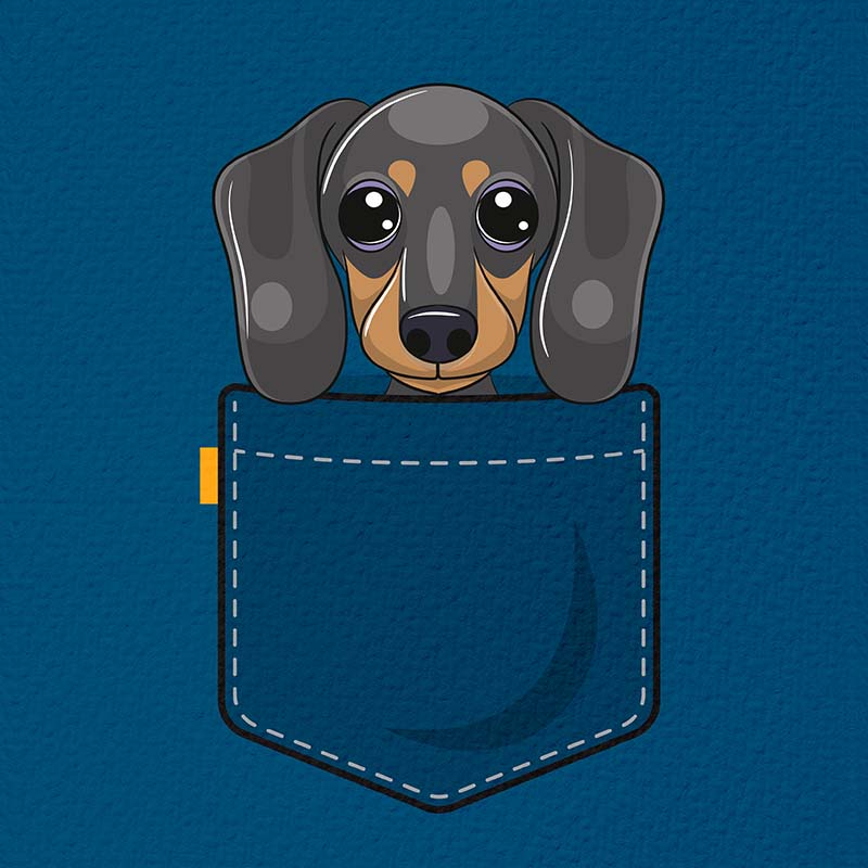 Puppy in a pocket