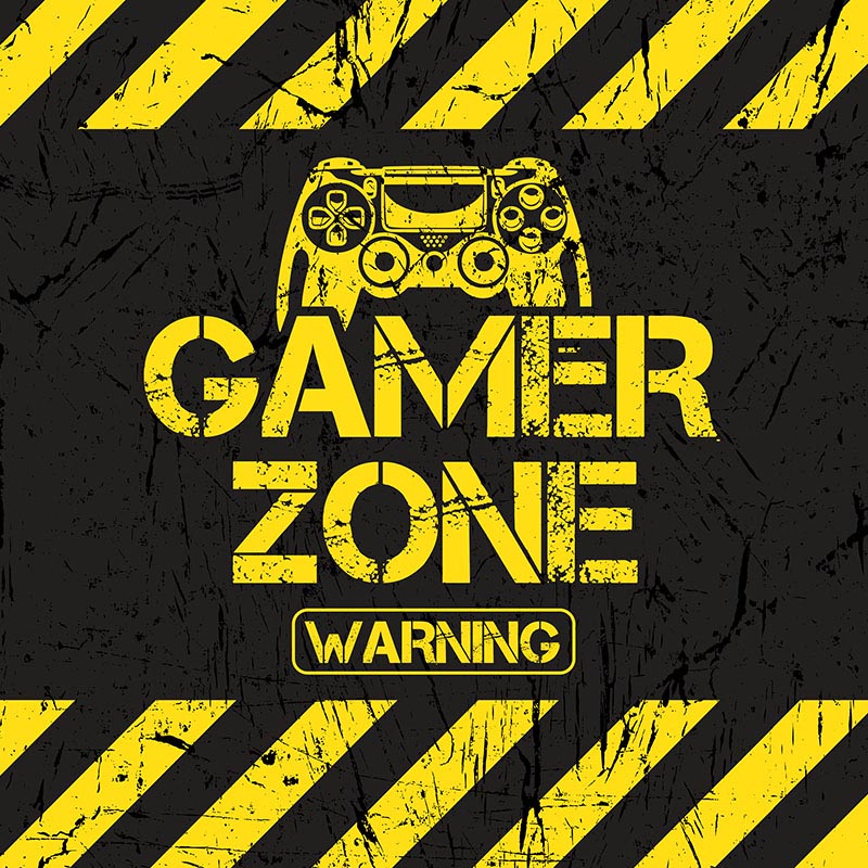 Warning! Gamer Zone