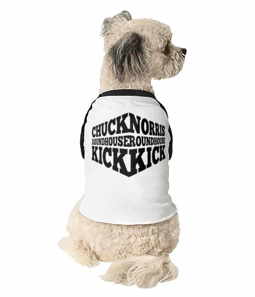 Chuck Norris roundhouse kick Póló - Ha Legends rajongó ezeket a pólókat tuti imádni fogod!