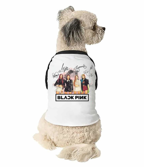 Blackpink splash Blackpink Állatoknak - K-Pop