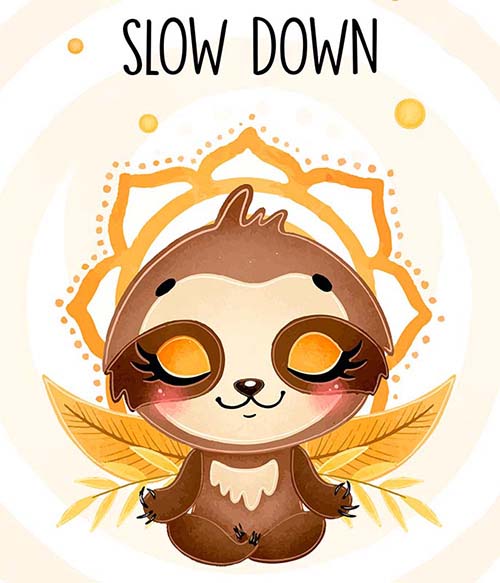 Slow Down Sloth Edző Pólók, Pulóverek, Bögrék - Stílus
