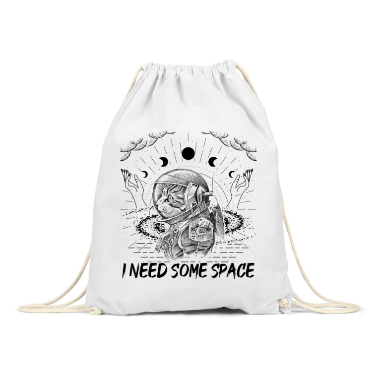 Astronaut cat