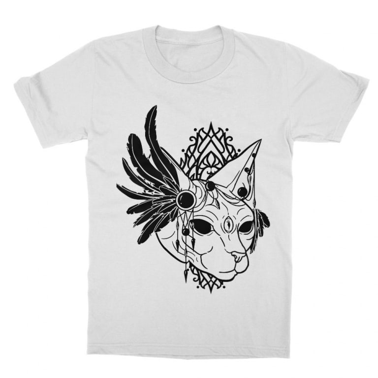Sphynx cat