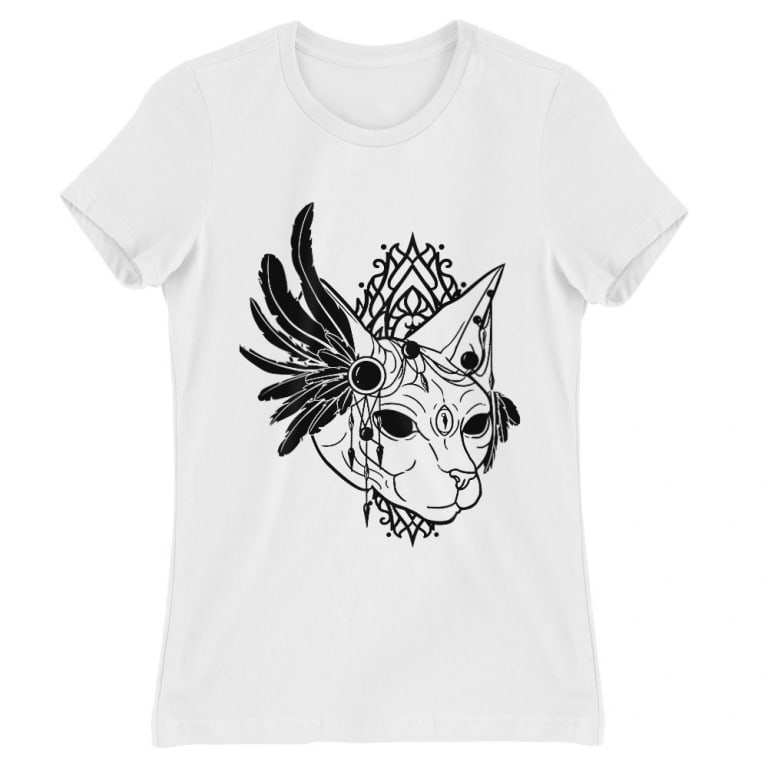 Sphynx cat