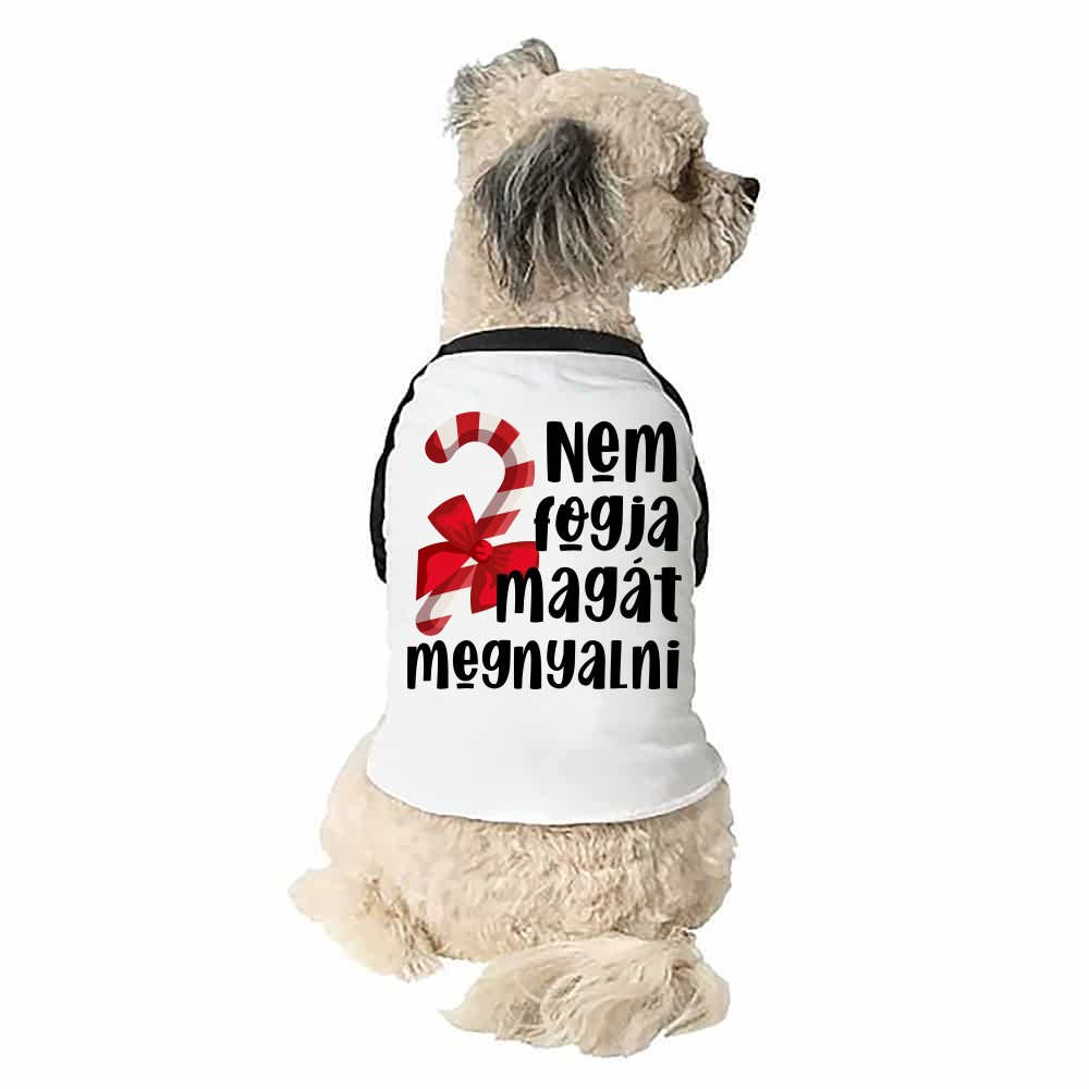 Nem fogja magát megnyalni Kutyapóló