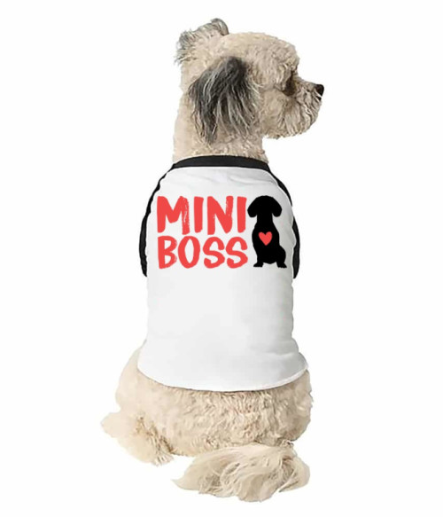 Mini Boss - Tacsi Tacskó Állatoknak - Tacskó