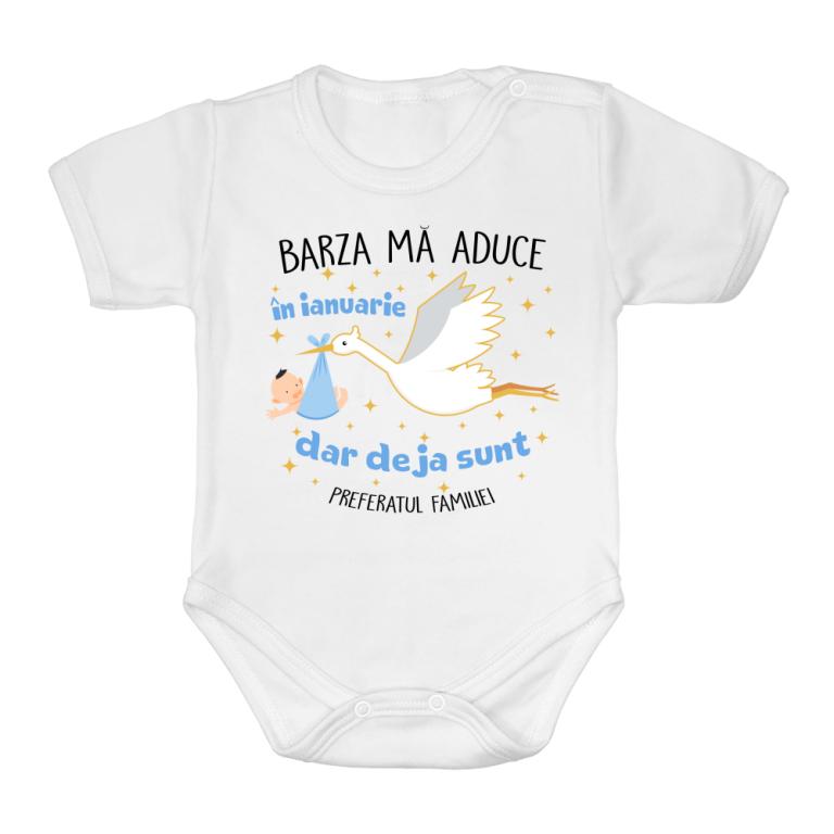 Barză zi de naștere Băiat - Ianuarie
