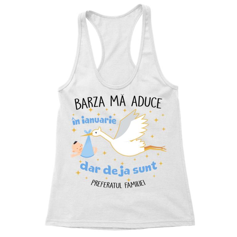 Barză zi de naștere Băiat - Ianuarie