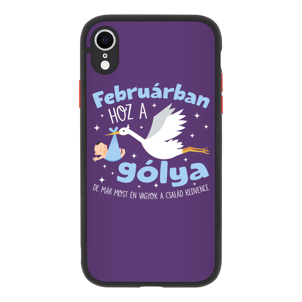 Gólya születésnap Fiú - Február Apple iPhone Telefontok