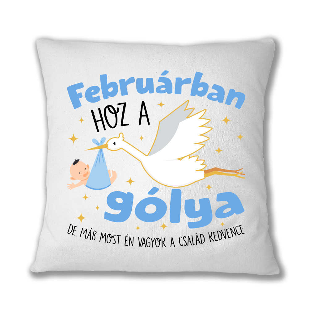 Gólya születésnap Fiú - Február Párnahuzat
