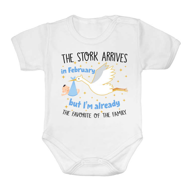 The stork arrives - Boy - February