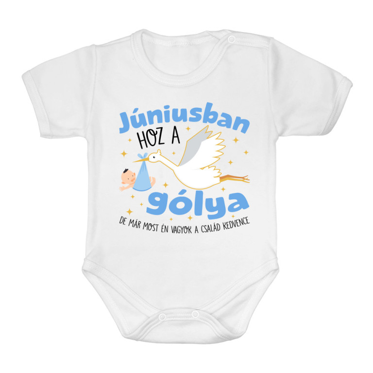 Gólya születésnap Fiú - Június - Baba Body