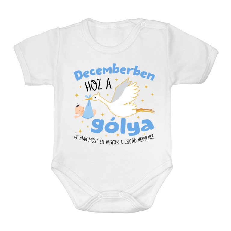 Gólya születésnap Fiú - December - Baba Body