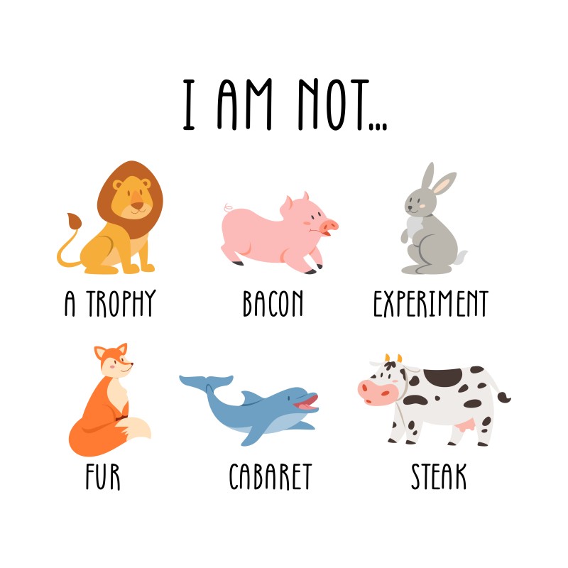 Pets are our friends