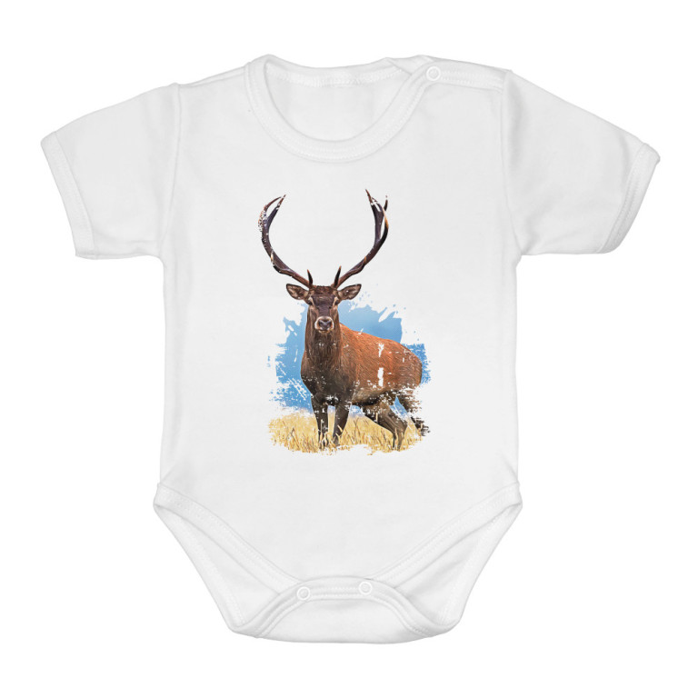Deer