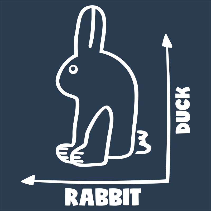 Rabbit - duck