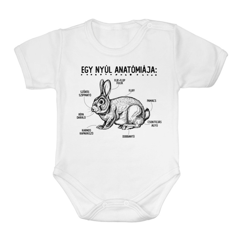 Egy nyúl anatómiája - Baba Body