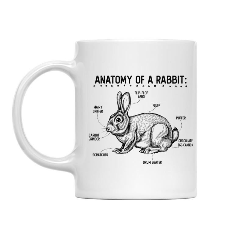 Anatomy of a rabbit