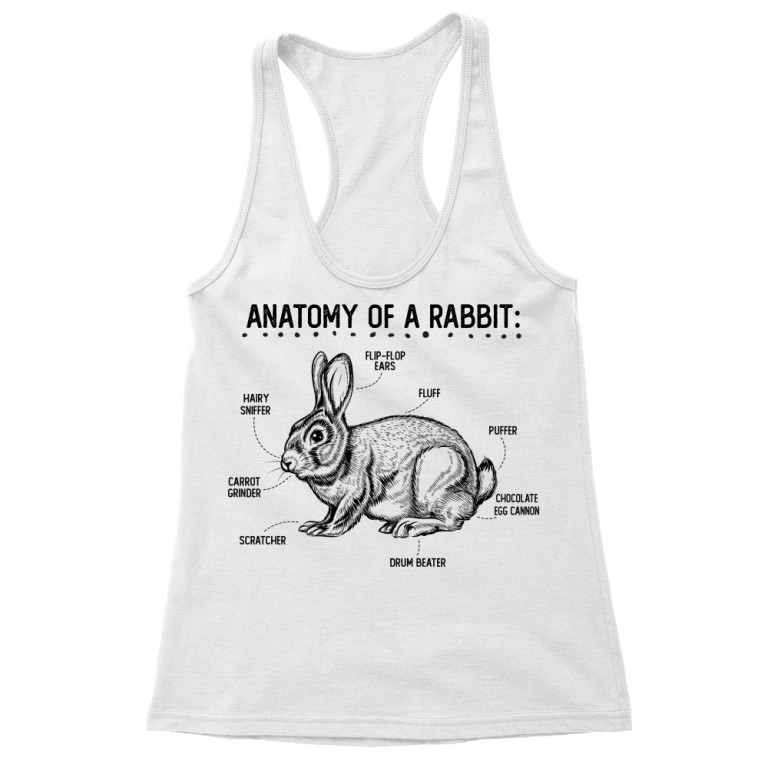 Anatomy of a rabbit