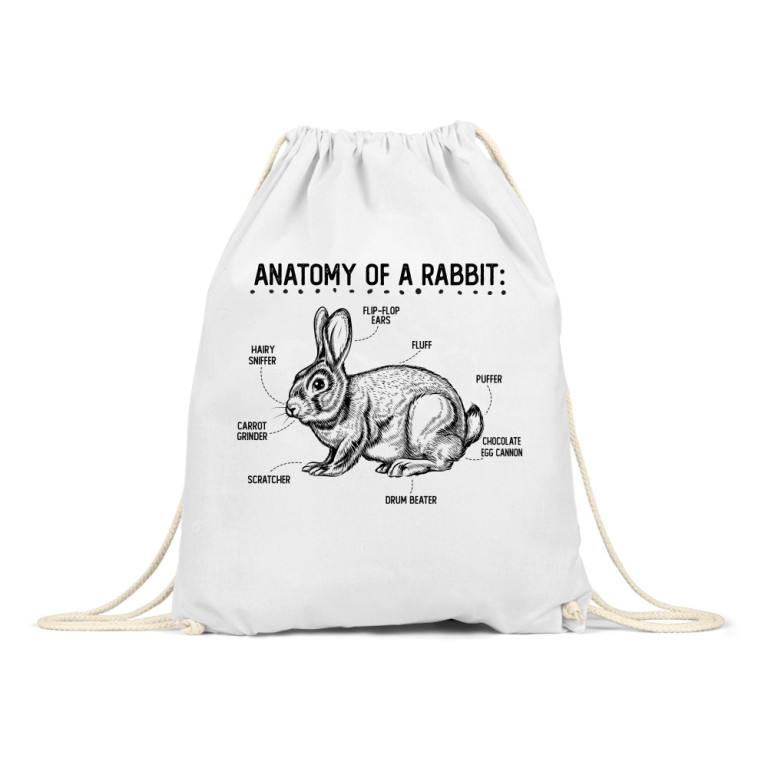Anatomy of a rabbit
