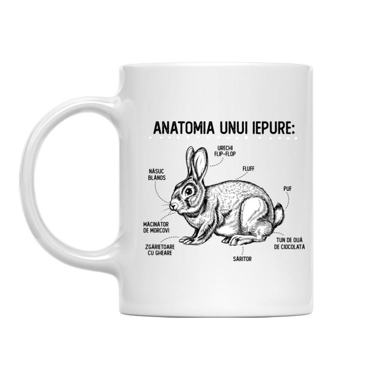 Anatomia unui iepure