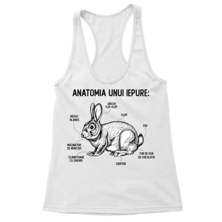 Anatomia unui iepure